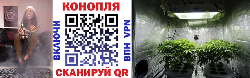 Конопля планчик  хочу наркоту  ссылка на мегу зеркало  Верещагино 